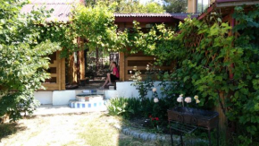 On Rodnikovaya 1A Guest House